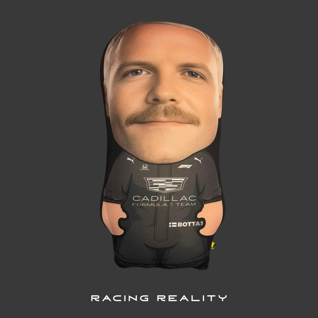 Cojín Bottas