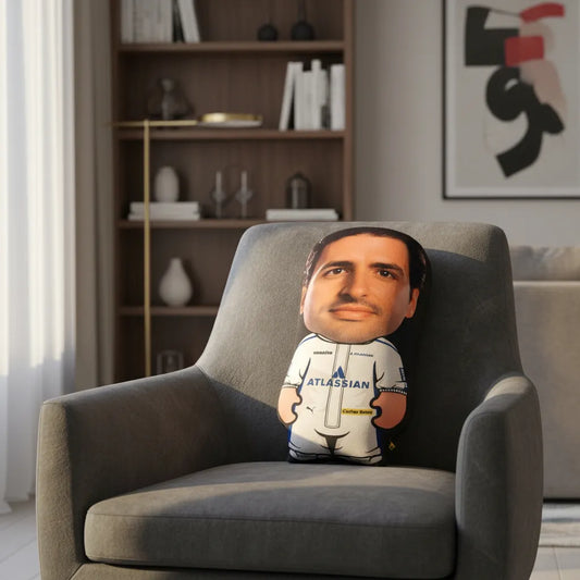 Cojín Carlos Sainz